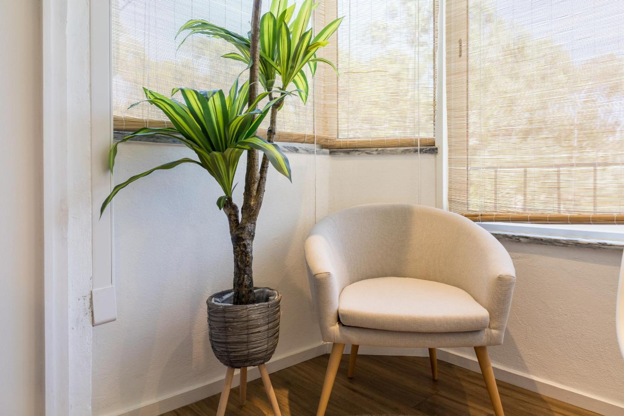 Beguest Cascais Cozy Studio Экстерьер фото